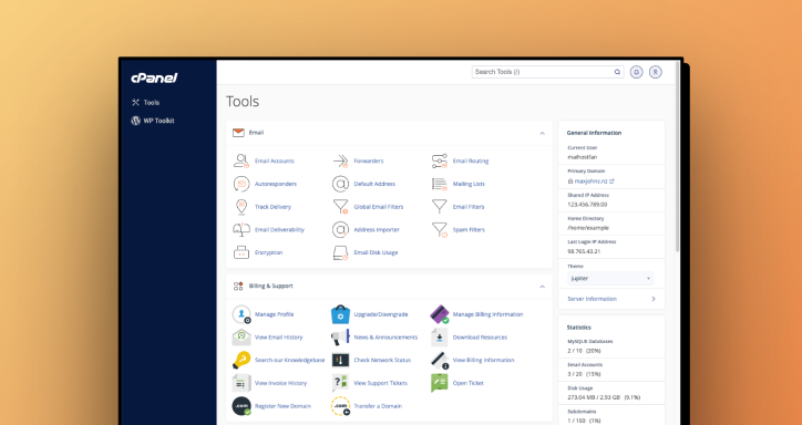 Screenshot of cPanel Tools menu.